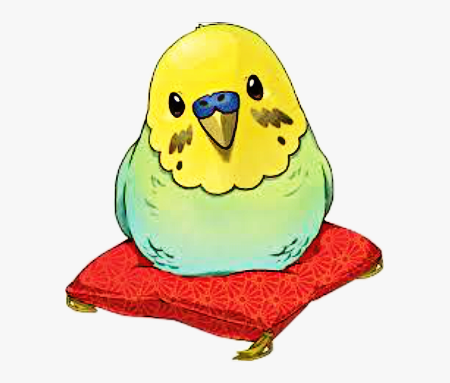 #parrot #parrots #pillows #pillow #cute #freetoedit - Kawaii Parakeet Drawing, Transparent Clipart