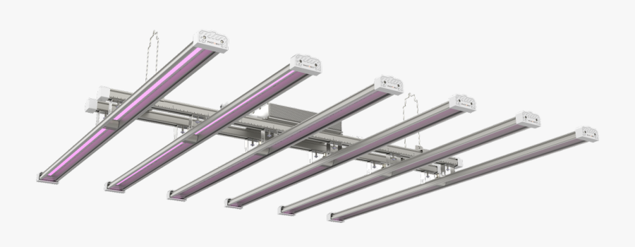Photobio•m Led - Bangle, Transparent Clipart