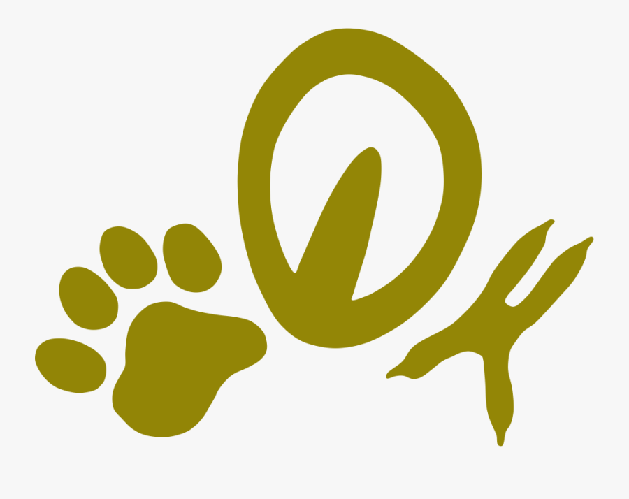 Parrots Clip Art, Transparent Clipart