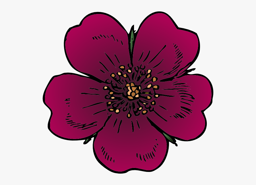 Rose Clip Art, Transparent Clipart