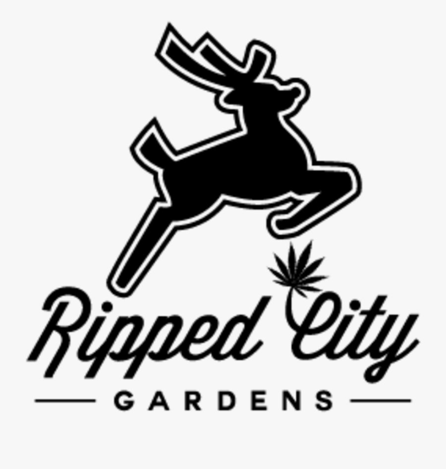 Ripped City Gardens, Transparent Clipart