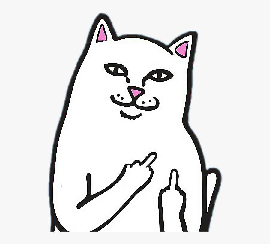 #fuck #cat #cool #кот #freetoedit - Fuck You Cat Meme, Transparent Clipart