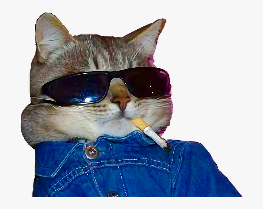 #cat #cigarette #sunglasses #cool #freetoedit - Cat With Sunglasses And Cigarette, Transparent Clipart