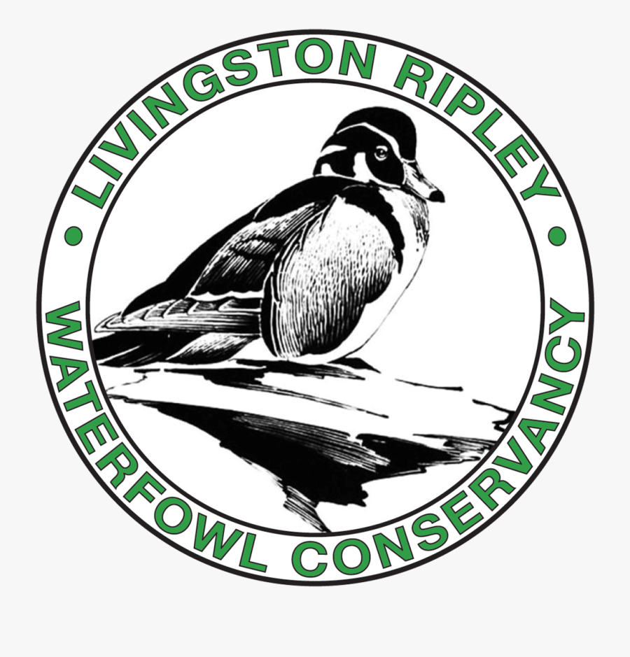 Give Local Greater Waterbury And Litchfield Hills - Livingston Ripley Waterfowl Conservancy, Transparent Clipart