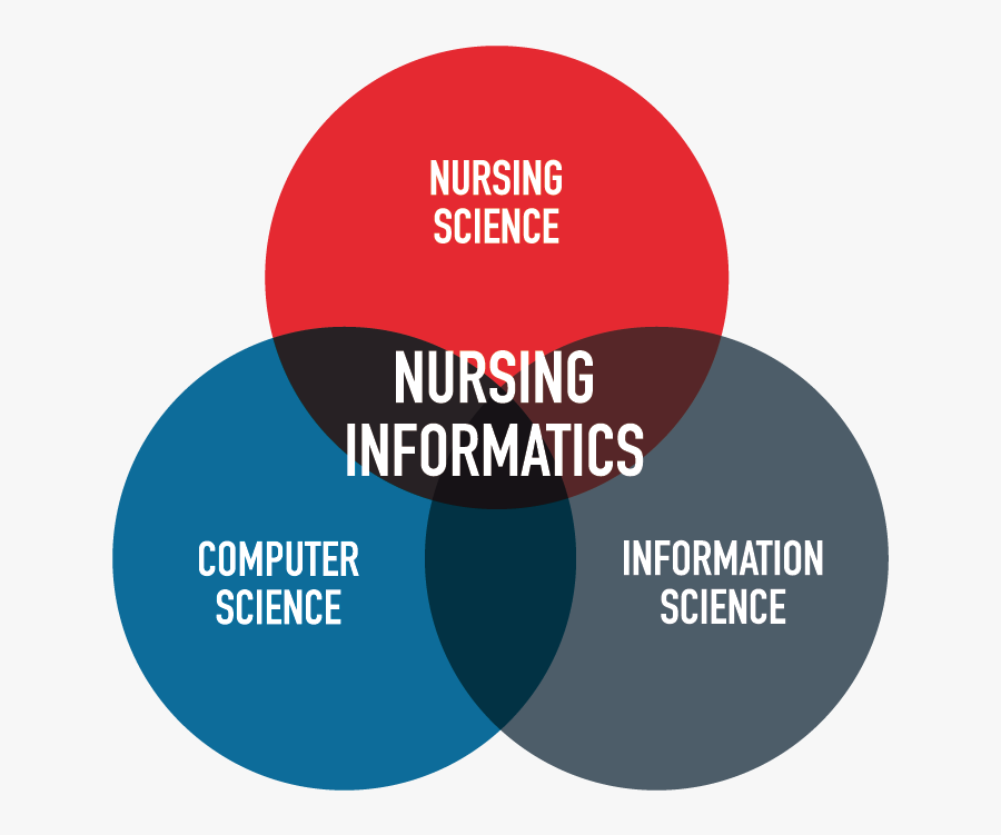 Banner Free Library St Century Educator Advances In - Deleted Scenes From The Cutting, Transparent Clipart