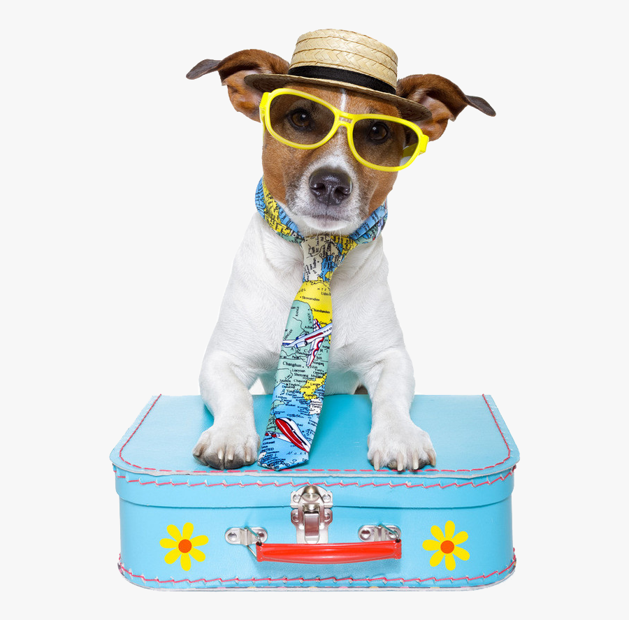 Sitting Pet Travel Dog Puppy Handsome Clipart - Dog Travel Png, Transparent Clipart