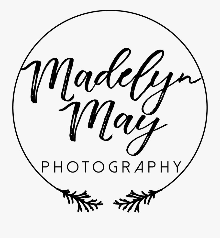 Transparent May Clipart Black And White - Calligraphy, Transparent Clipart