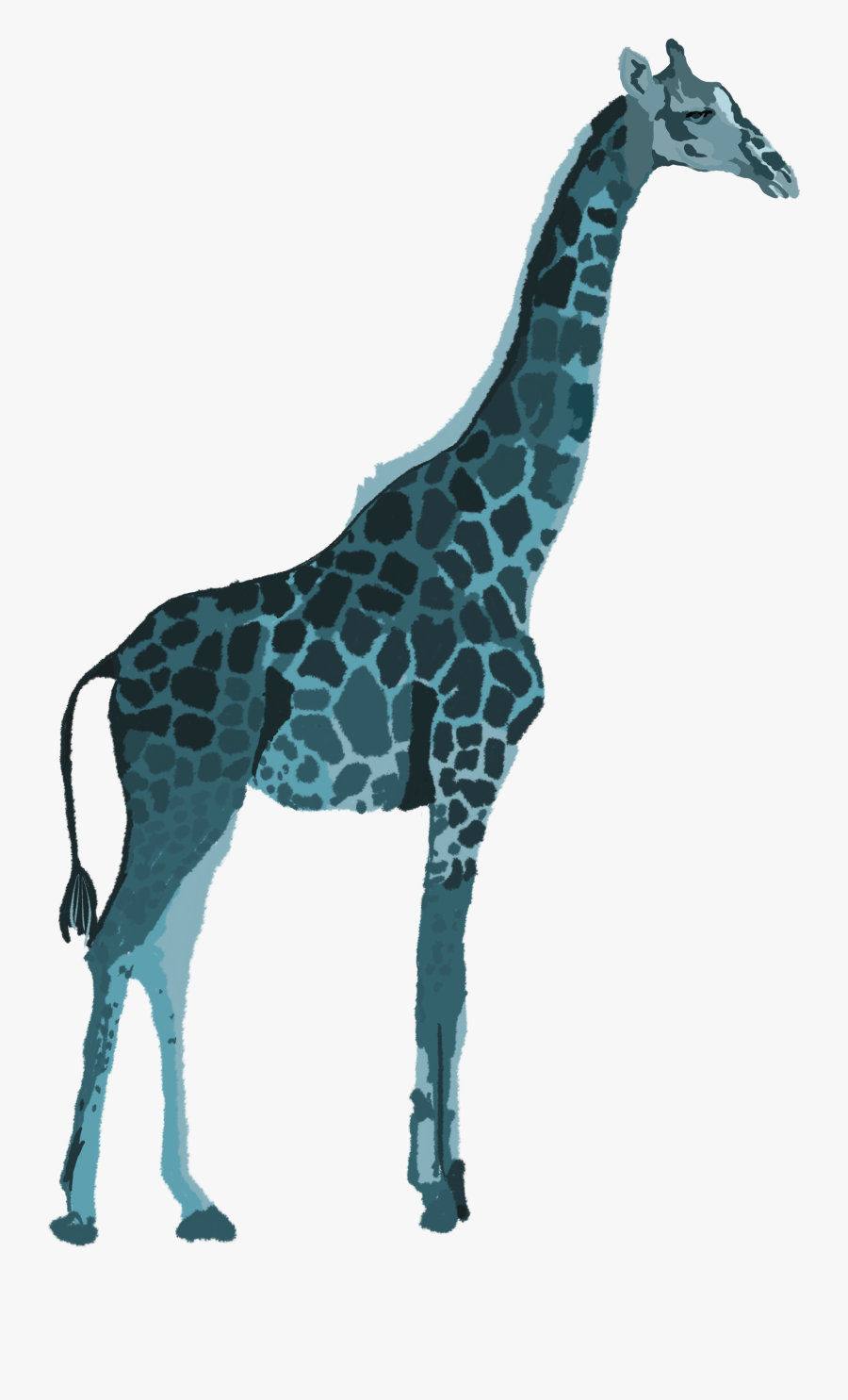 Clipart , Png Download - Giraffe, Transparent Clipart