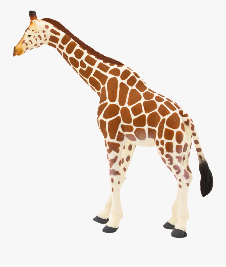 Transparent Giraffe Head Png - Animal Planet Mojo Giraffe, Transparent Clipart