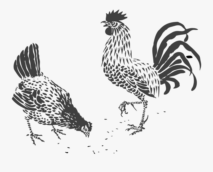 Chicken Line Art Rooster - Chicken Vector, Transparent Clipart