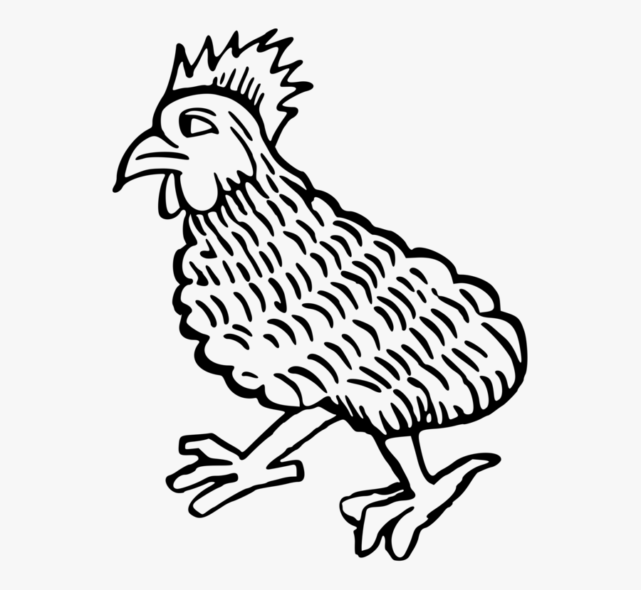 Art,fowl,beak - Chicken, Transparent Clipart