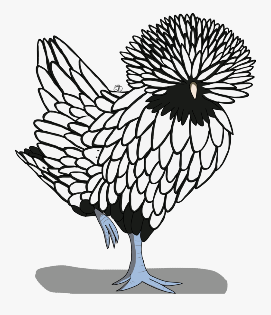 Drawing Clipart Hen - Polish Chicken Clipart, Transparent Clipart