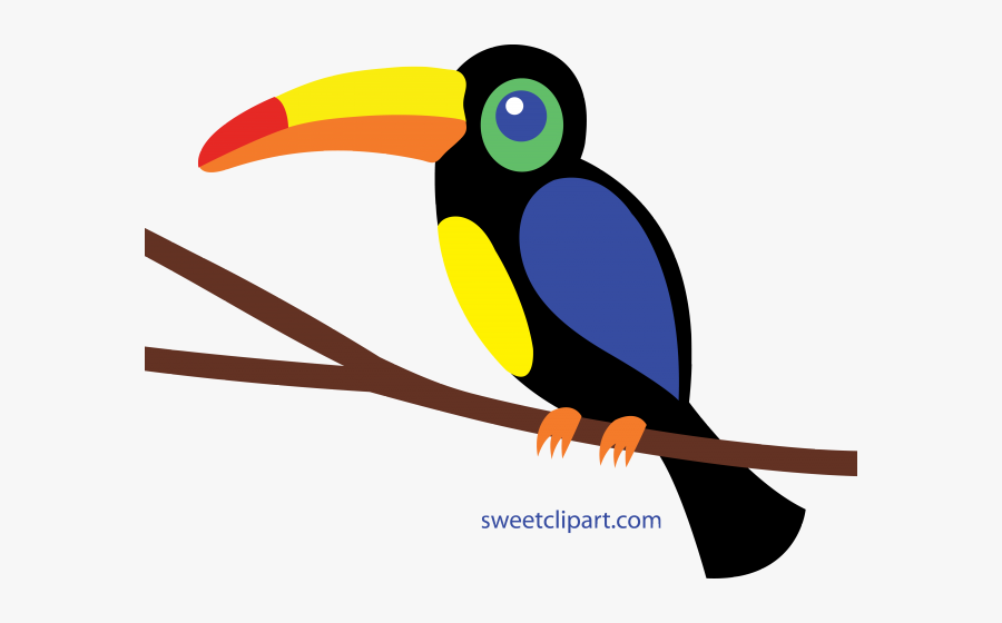 Thumb Image - Toucan Clip Art Png, Transparent Clipart
