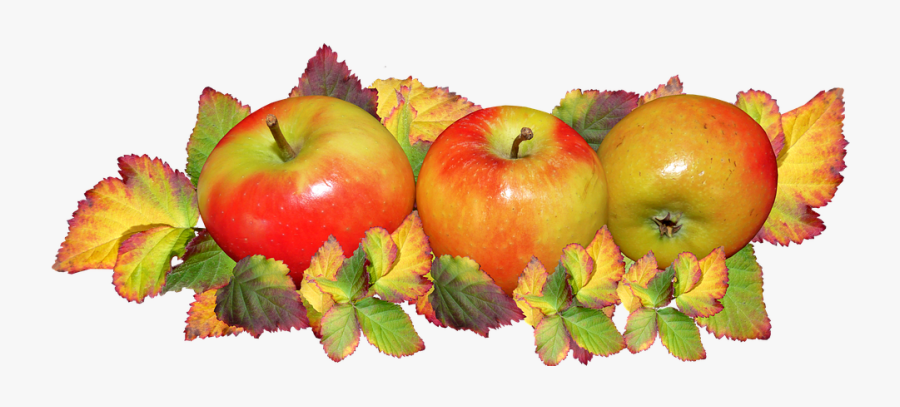 Apples And Fall Leaves, Transparent Clipart