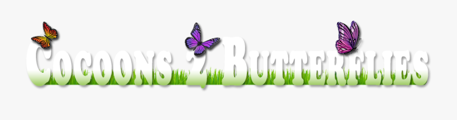Clip Art Butterfly Cocoons - Vectores De Mariposas, Transparent Clipart