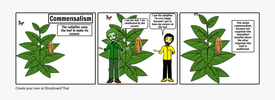 Clip Art Example Storyboard By S - Commensalism Examples, Transparent Clipart