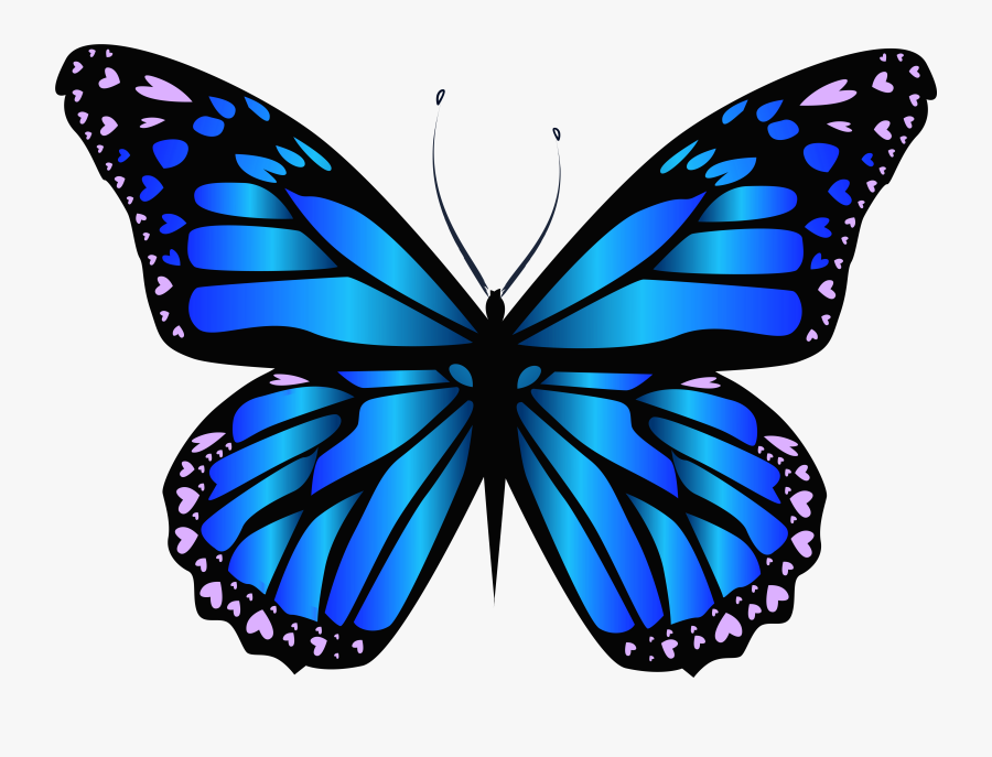 Butterfly Clipart, Transparent Clipart