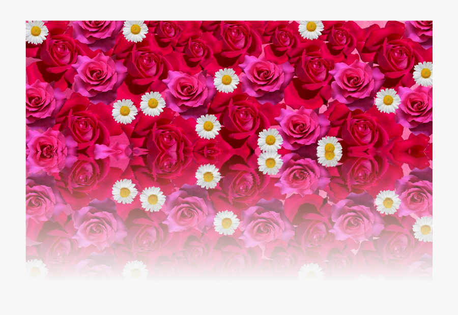 Red Rose Png -roses Love Romantic Red Rose Png Image - Love Romantic Beautiful Flowers, Transparent Clipart