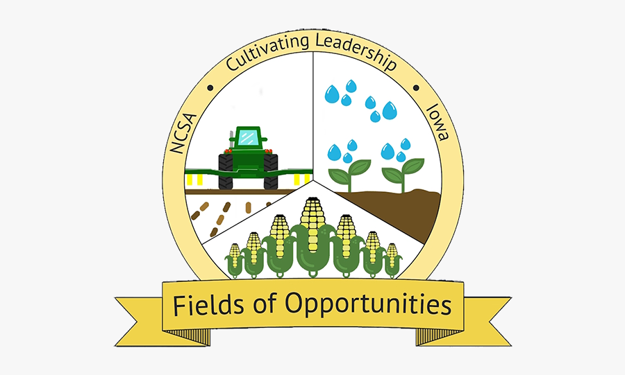 Circle, Transparent Clipart