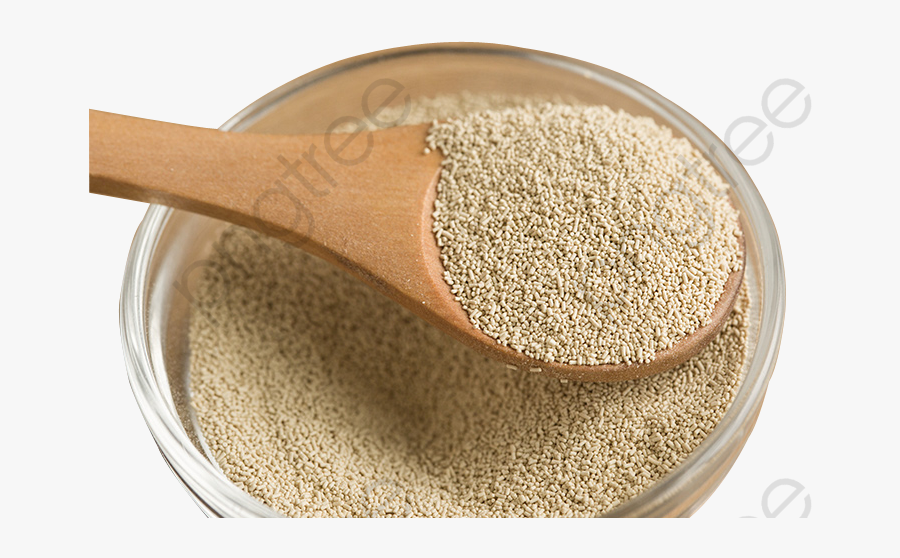 Transparent Celery Clipart Black And White - Does Yeast Powder Look Like, Transparent Clipart