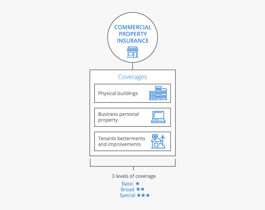 Infographic - Mobile - Business Property, Transparent Clipart