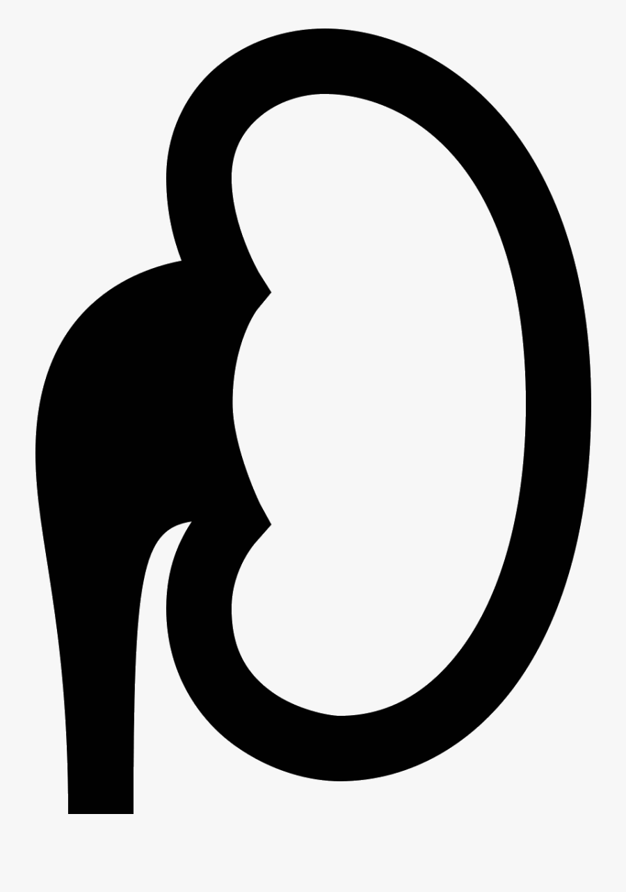 Kidney Icon - Circle, Transparent Clipart
