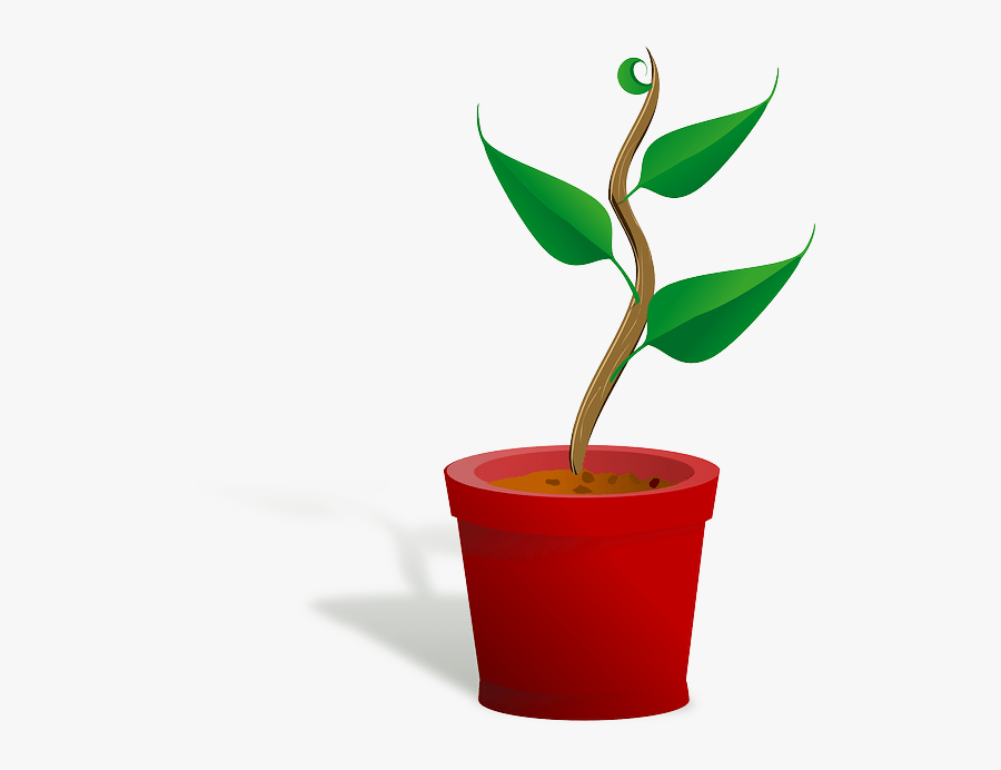 Merritt River Apartments Blog A Lincoln Property Ⓒ - Getting To Know Plants, Transparent Clipart