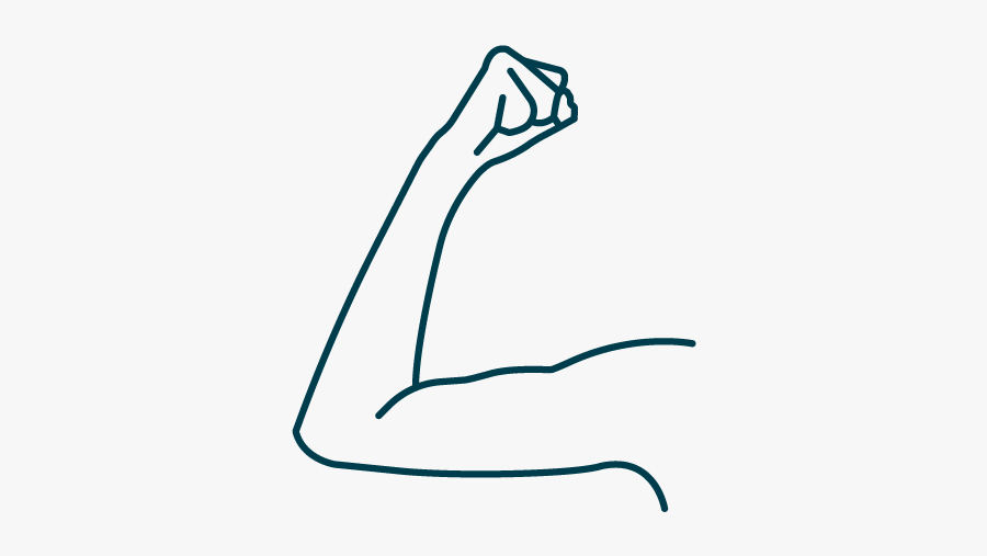 Line Art, Transparent Clipart