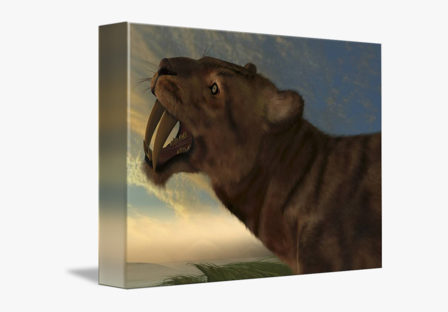 Transparent Sabertooth Tiger Clipart - Fang, Transparent Clipart