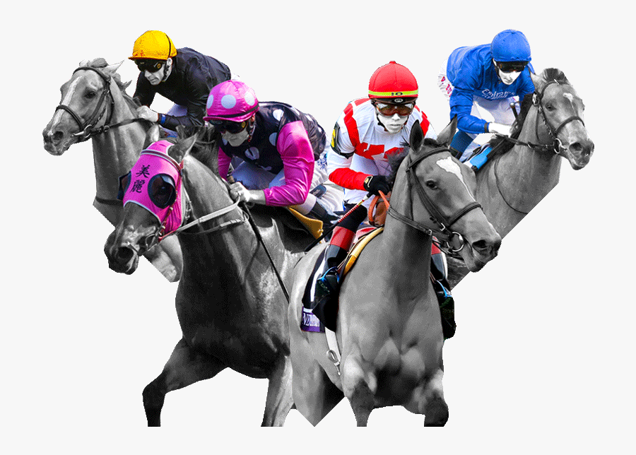 Transparent Horse Racing Png - Horse Racing Png, Transparent Clipart