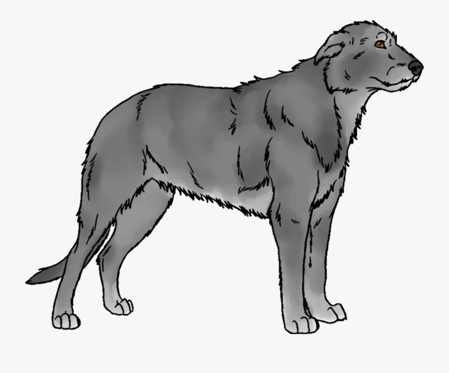 Slovak Cuvac, Transparent Clipart