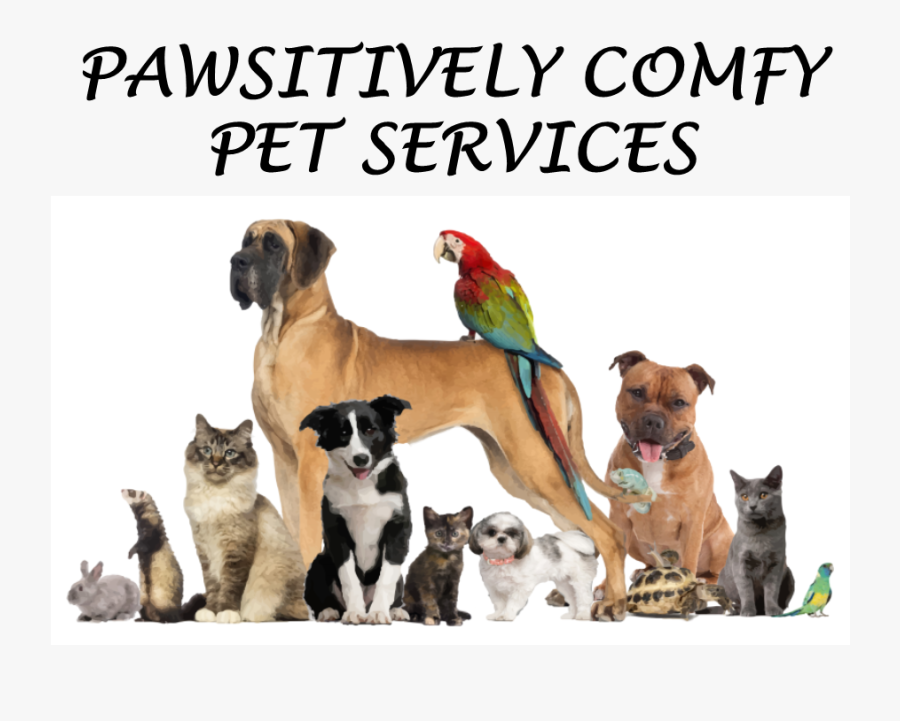 Saint Francis Blessings Of The Animals 2019, Transparent Clipart