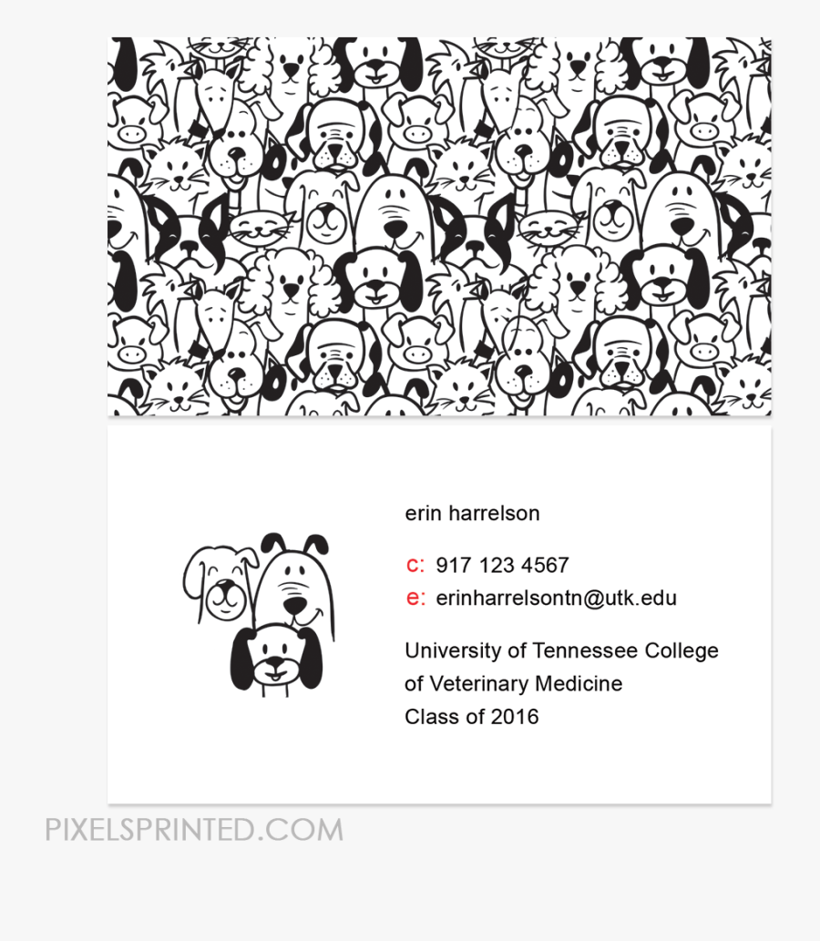 Cartões De Visita Veterinária, Transparent Clipart