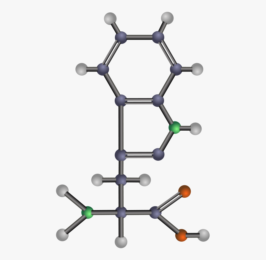 Amino Acids Clipart, Transparent Clipart