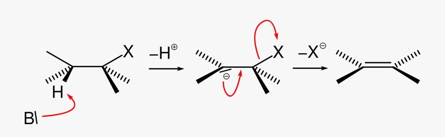 Angle,symmetry,organ - E1cb Reaction Mechanism, Transparent Clipart
