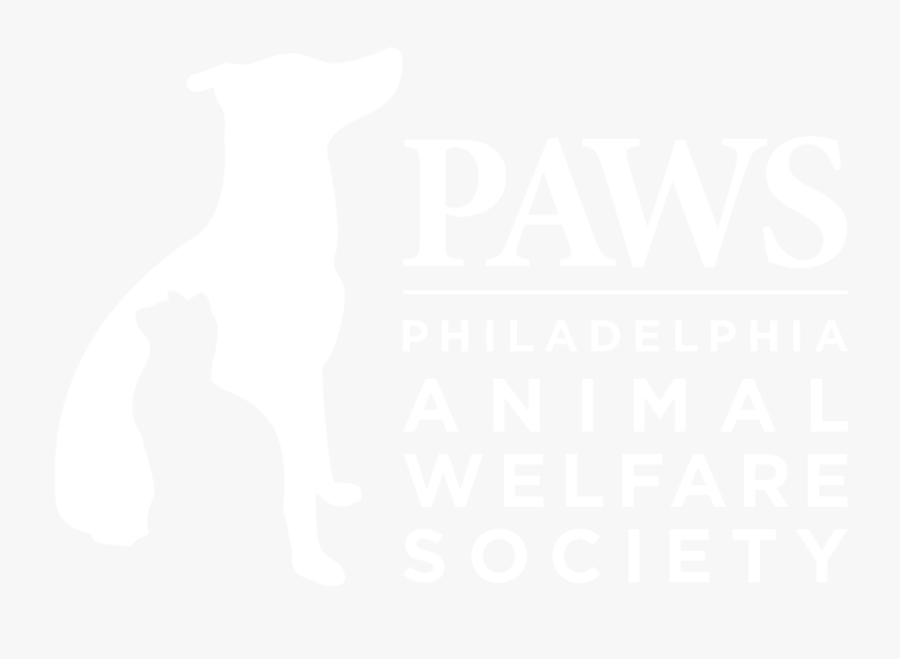 Cat, Transparent Clipart