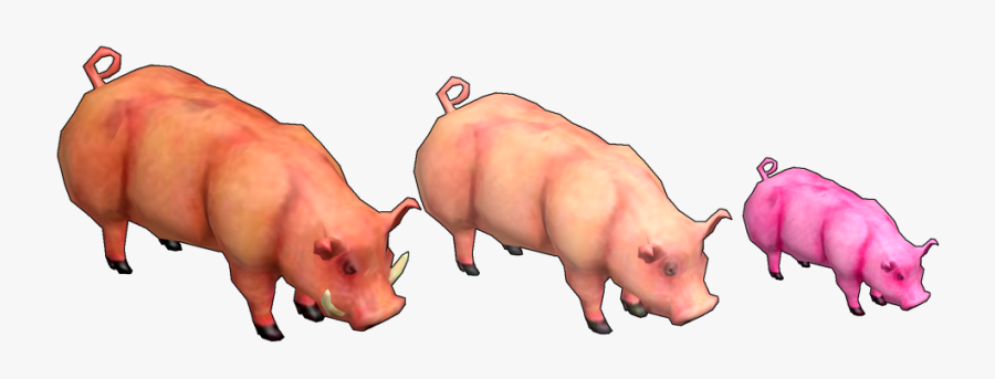 Domestic Pig,boar,pork,pig"s Trotters - Domestic Pig, Transparent Clipart