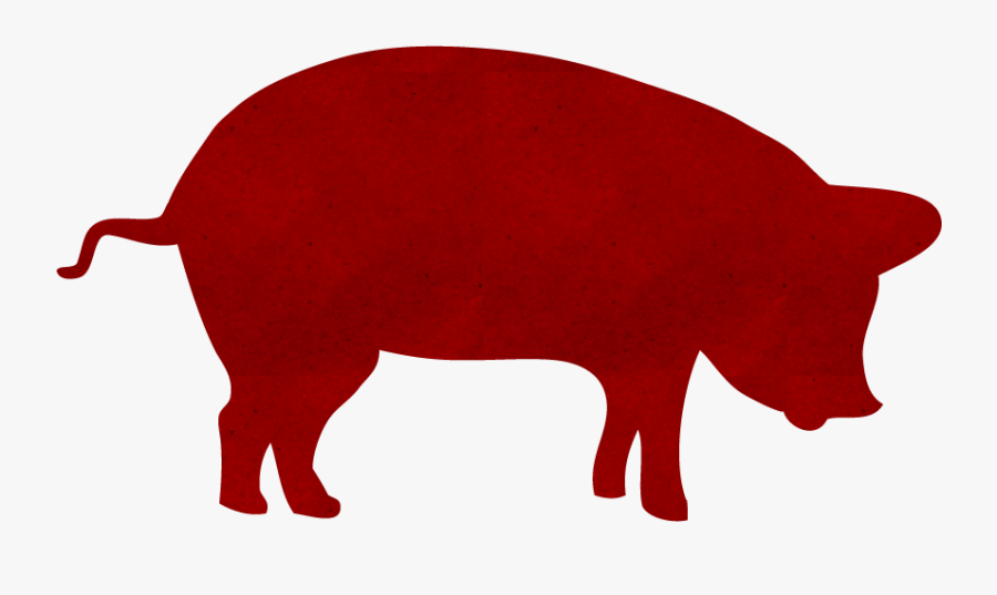 Dinic's T Shirt, Transparent Clipart