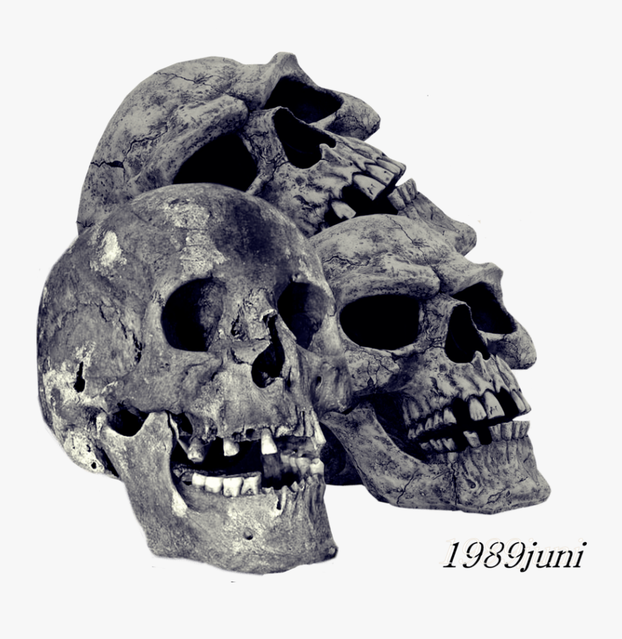 Transparent Pile Of Bones Clipart - Transparent Skull Png, Transparent Clipart