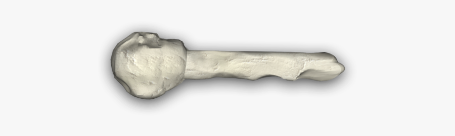 Bone Pile Png - Lacrosse Stick, Transparent Clipart