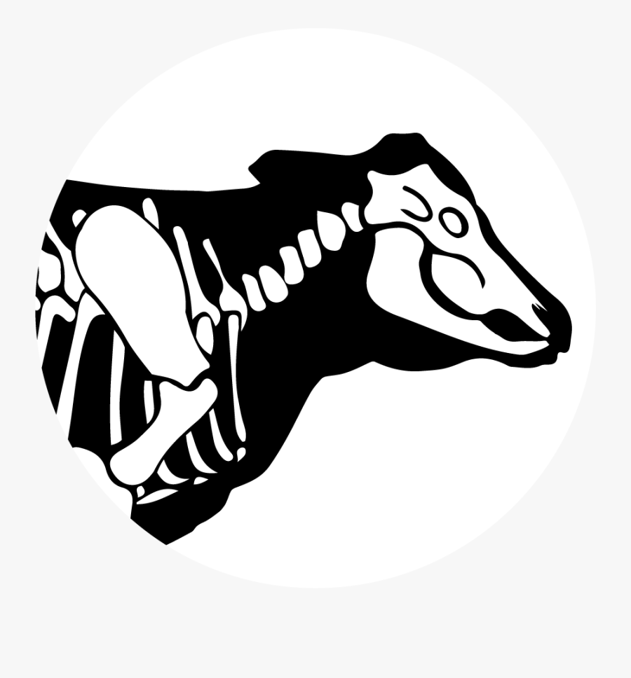 Transparent Animal Skull Png - Bare Bones Butcher, Transparent Clipart