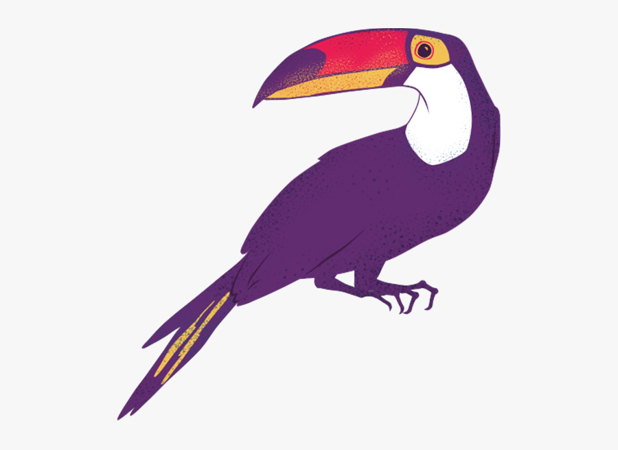 Transparent Bluebirds Clipart - Toucan, Transparent Clipart