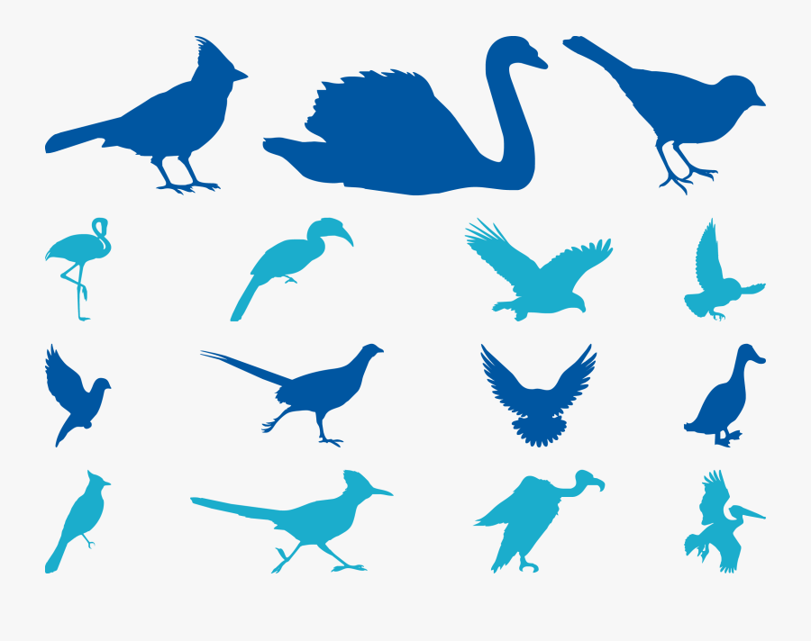 Bird Cygnini Sparrow Goose Beak - Transparent Background Blue Bird Silhouette, Transparent Clipart