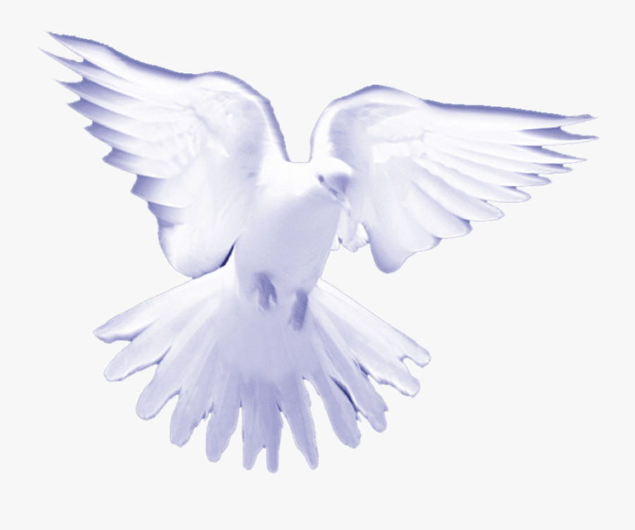 Free Png Download White Birds On Heaven Png Images - Holy Spirit Dove Png, Transparent Clipart