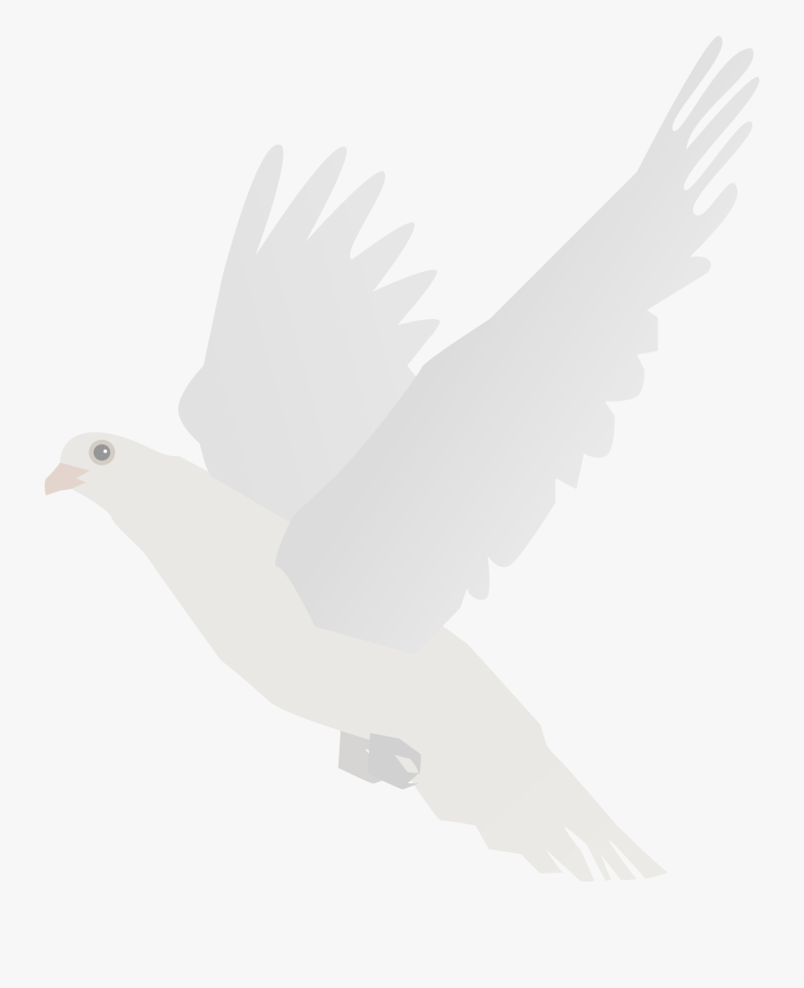 Doves Clipart Feather - Stock Dove, Transparent Clipart