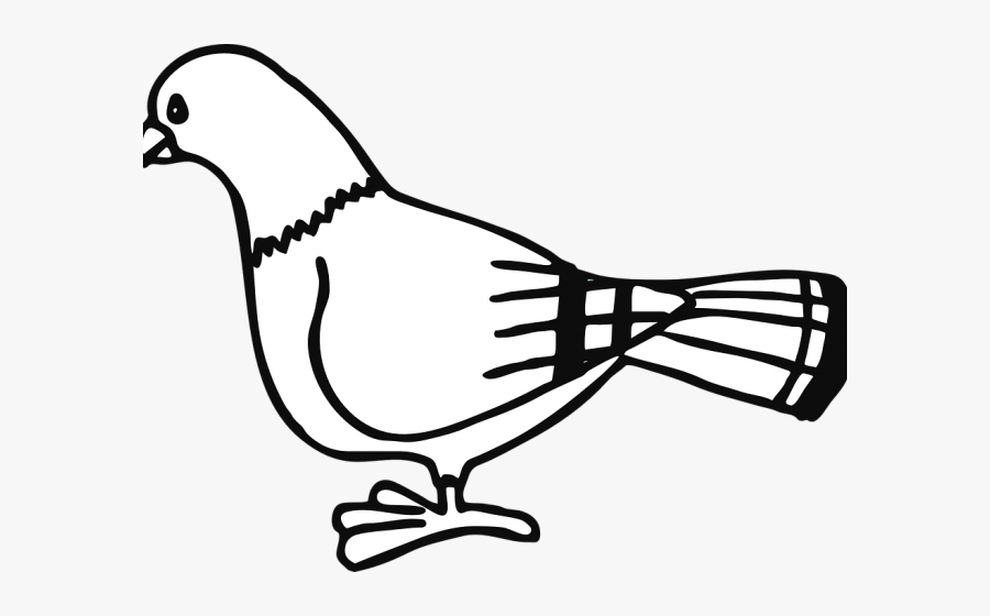 Dove Clipart Black And White - Pigeon Clipart Black And White, Transparent Clipart