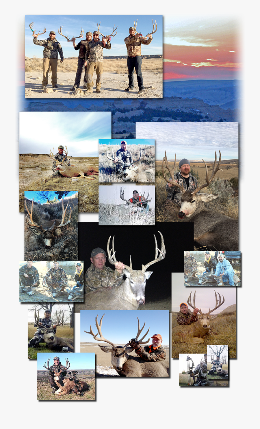 Transparent Caribou Clipart - Elk, Transparent Clipart