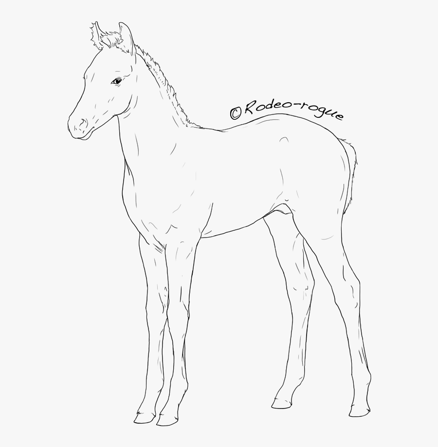 Rodeo Horse Lineart - Line Art, Transparent Clipart