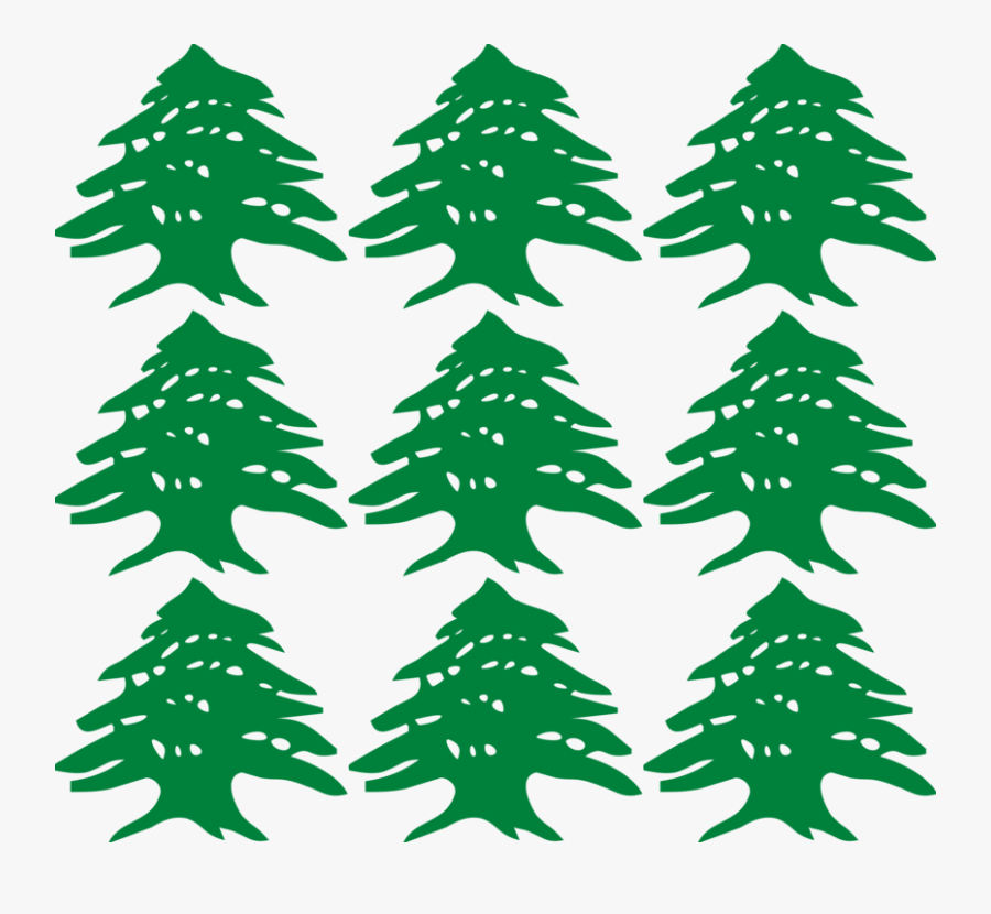Pine Family,plant,leaf - Cedar Tree Lebanon Flag, Transparent Clipart