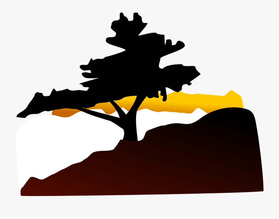 Clipart Of Cedar And African Landscape - Illustration, Transparent Clipart